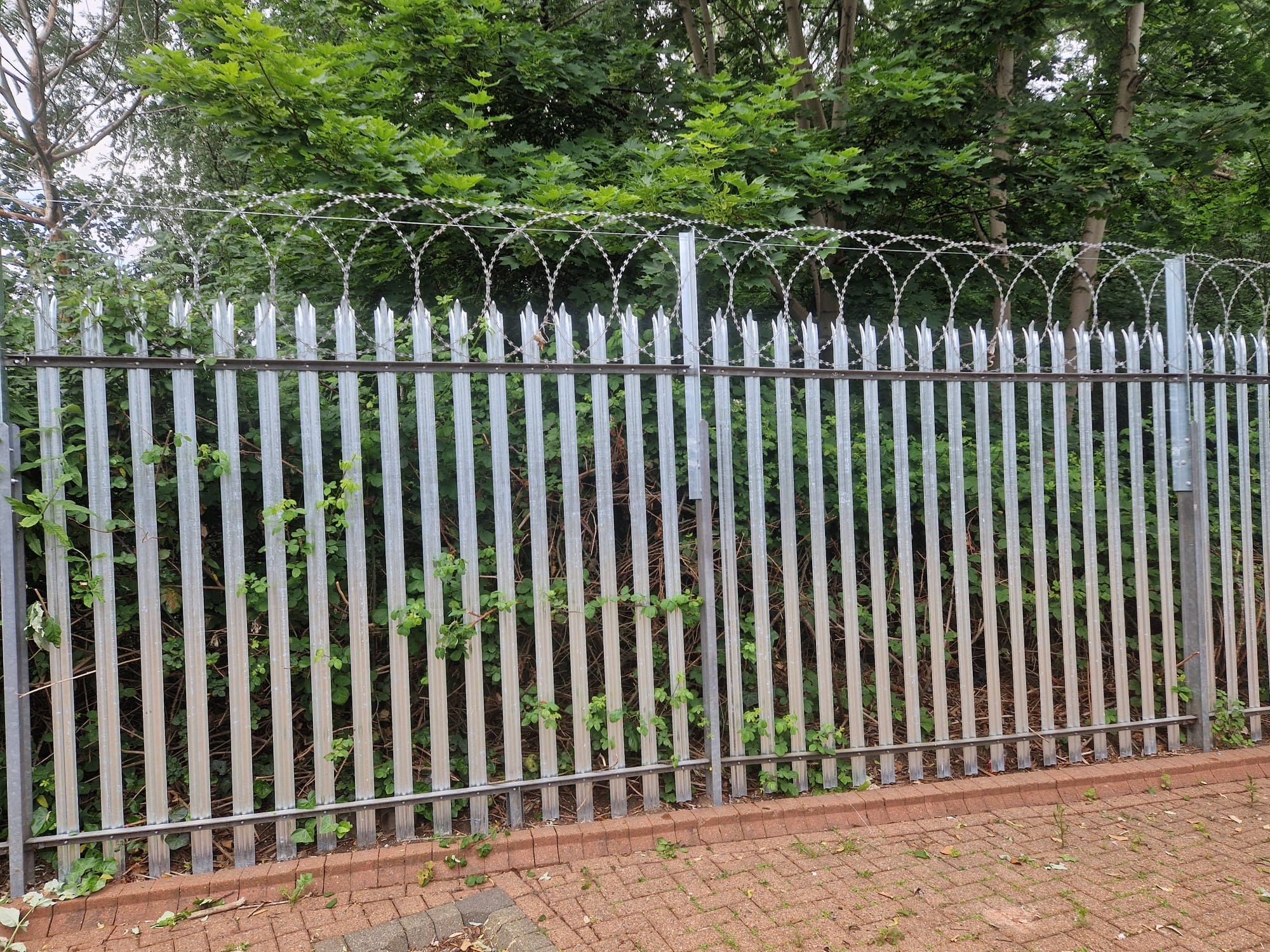 High-security palisade fencing with razor wire installed by Pro Fencing Ltd